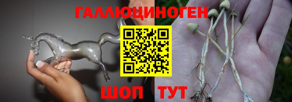 Галлюциногенные грибы мицелий Мценск